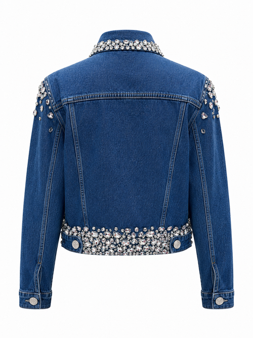 Shine Shine Jacket